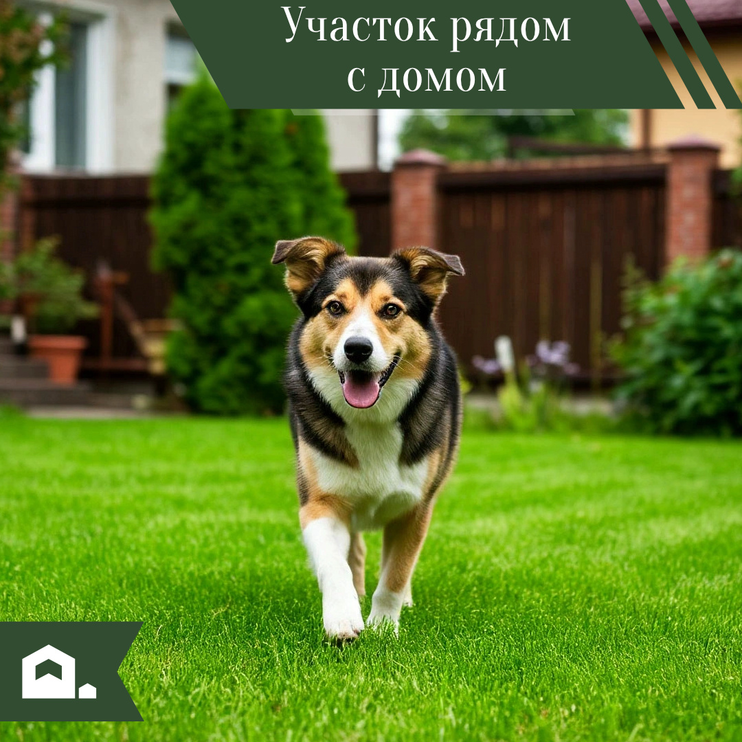 Участок рядом с домом